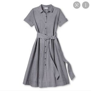 Lisa Marie Fernandez x Target collection Gingham midi dress